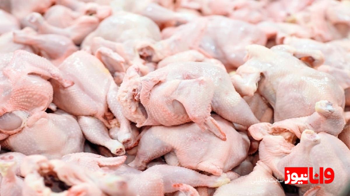 عرضه مرغ به وفور در حال انجام است/قیمت هرکیلو مرغ ۲۵۰ هزارتومان
