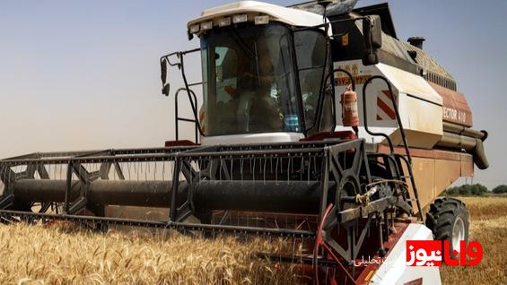 خرید تضمینی ۹۸۰ هزار تن گندم از آغاز فصل برداشت
