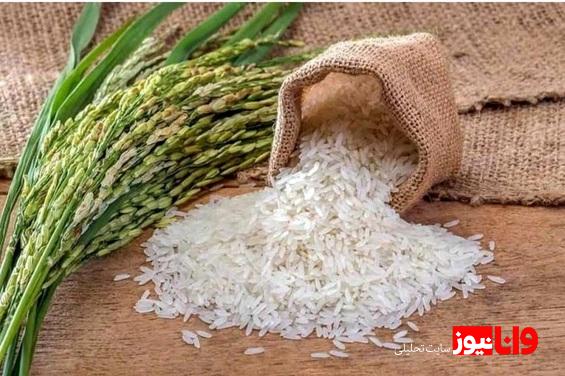 قیمت برنج پاکستانی امروز ۲۹ اردیبهشت ۱۴۰۴+ جدول