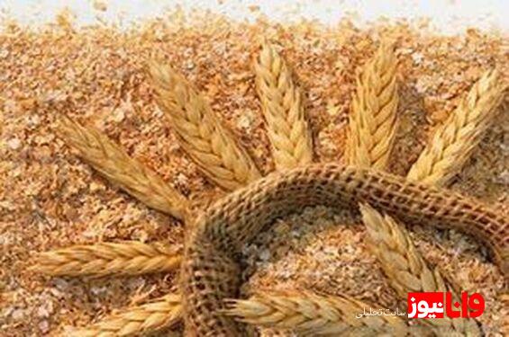 قیمت خرید تضمینی گندم اصلاح میشود؟