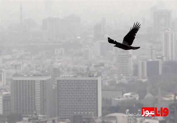 سرمایهگذاران مسکن قهر کردهاند؟