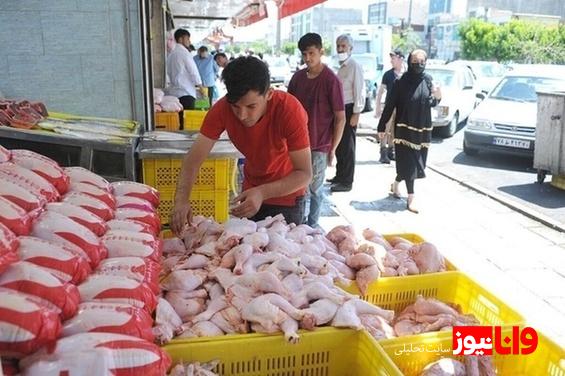 قیمت گوشت مرغ امروز پنجشنبه ۲۲ خرداد ۱۴۰۴ + جدول