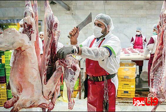 تنها ۵ درصد گوشت گرم گوسفندی وارد میشود