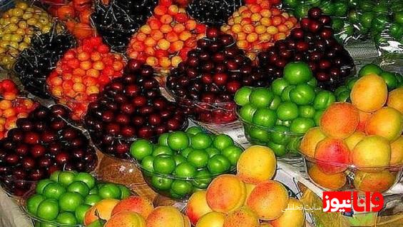 علت نوسان قیمت میوه در بازار چیست؟