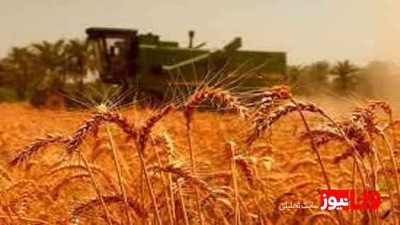 مطالبات گندمکاران به زودی پرداخت میشود