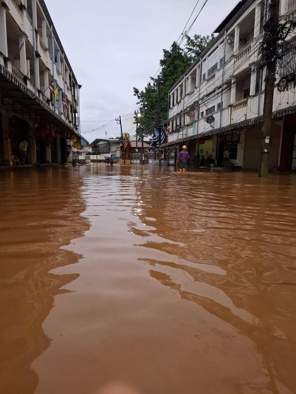 سیل تایلند