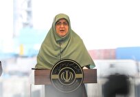 سخنگوی دولت: روابطعمومیها جارچیهای قدیم نیستند سخنگوی دولت: روابطعمومیها جارچیهای قدیم نیستند