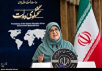 اعلام آمار دقیق شهدا و مجروحان جنگ ۱۲ روزه از سوی سخنگوی دولت