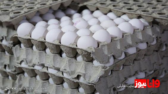 تولید تخم مرغ تیرماه به ۱۱۵ هزارتن می رسد تخم مرغ ارزان شد