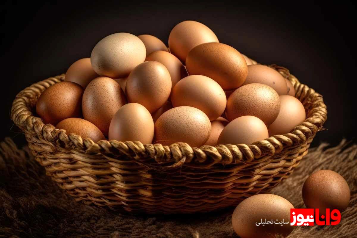 نگاهی به قیمتهای انواع تخممرغ پوست سفید