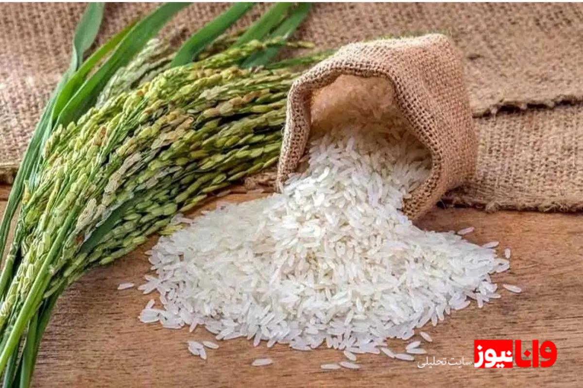 نگاهی به قیمت برنج پاکستانی در ۱۴ مرداد ۱۴۰۴