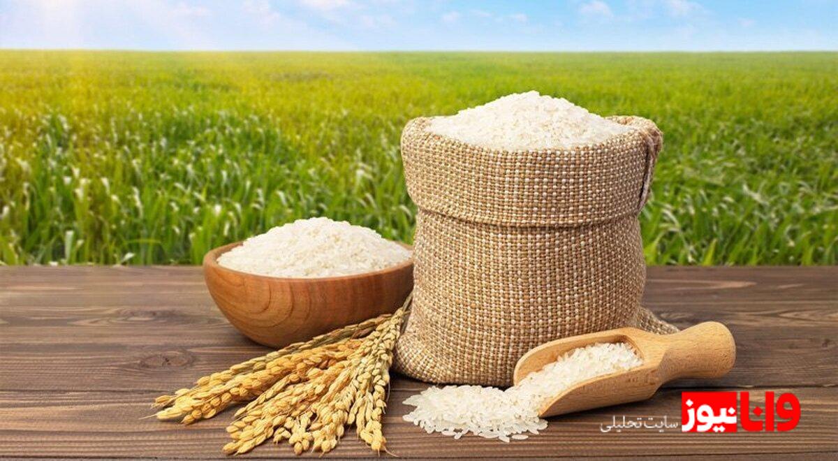 برنج هاشمی در اوج: قیمتها و جدول نرخ امروز ۱۵ مرداد ۱۴۰۴