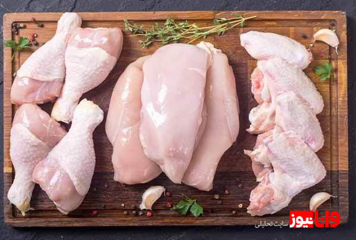 ثبات نسبی در بازار مرغ: نگاهی به قیمتها در مرداد ۱۴۰۴