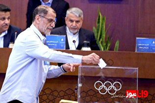 عملکرد محمود خسروی وفا در کمیته ملی المپیک