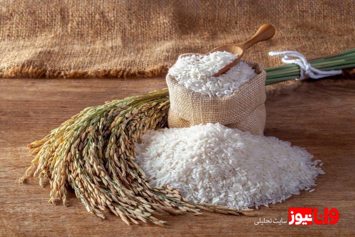 برنج ایرانی: تحلیلی بر قیمتها و تغییرات بازار در مرداد ۱۴۰۴+ جدول