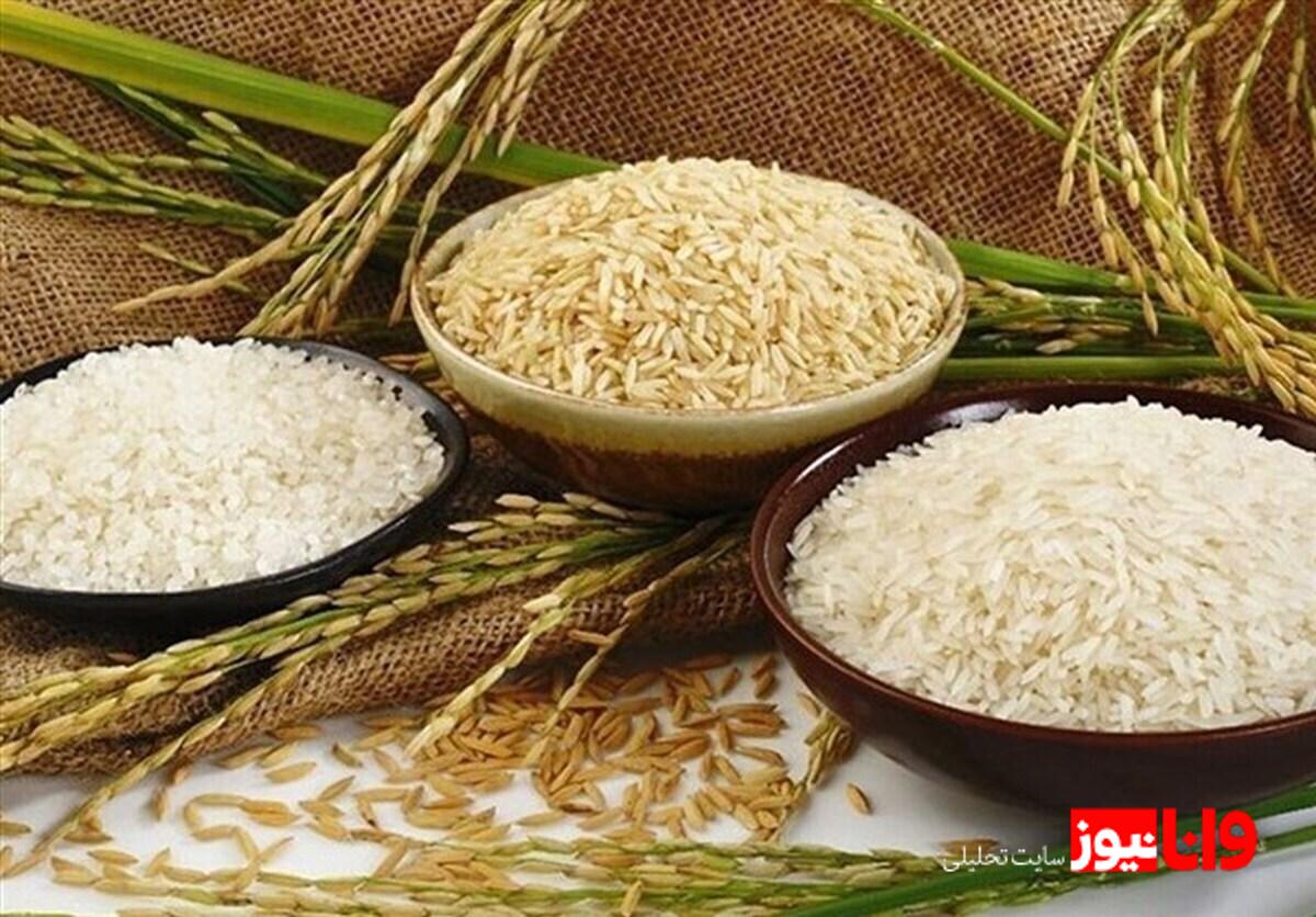 قیمتهای روز برنج هندی در ۲۶ مرداد ۱۴۰۴+جدول