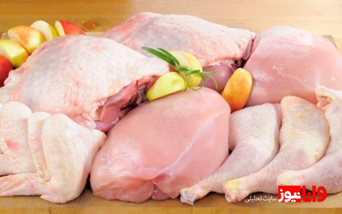 چرا مرغ گران شد؟ نگاهی به دلایل افزایش قیمتها