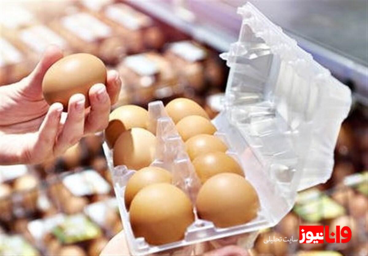 قیمت تخم مرغ در دسترس: خریدی مطمئن و اقتصادی