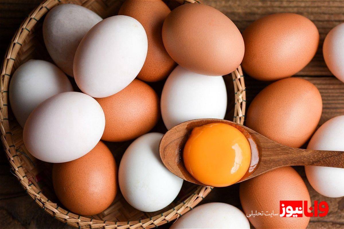 تخممرغهای قیمتی: نگاهی به نرخ روز تخممرغ در اول شهریور ۱۴۰۴+جدول
