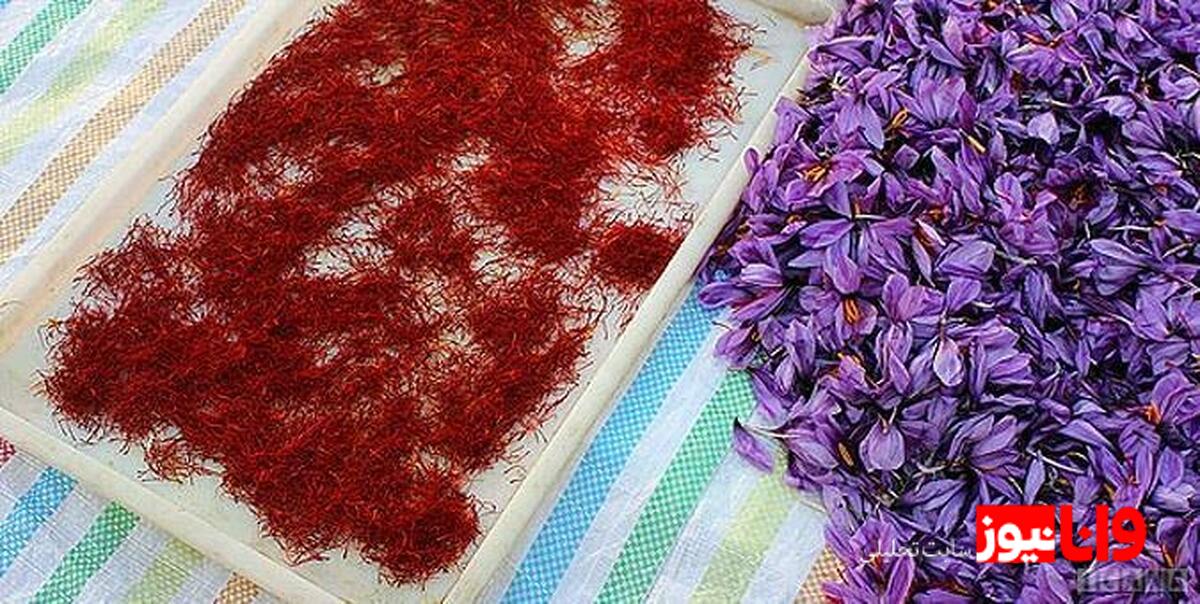 افزایش ۱۰ تا ۱۵ درصدی قیمت زعفران در آستانه فصل برداشت و پیشبینیهای آینده بازار
