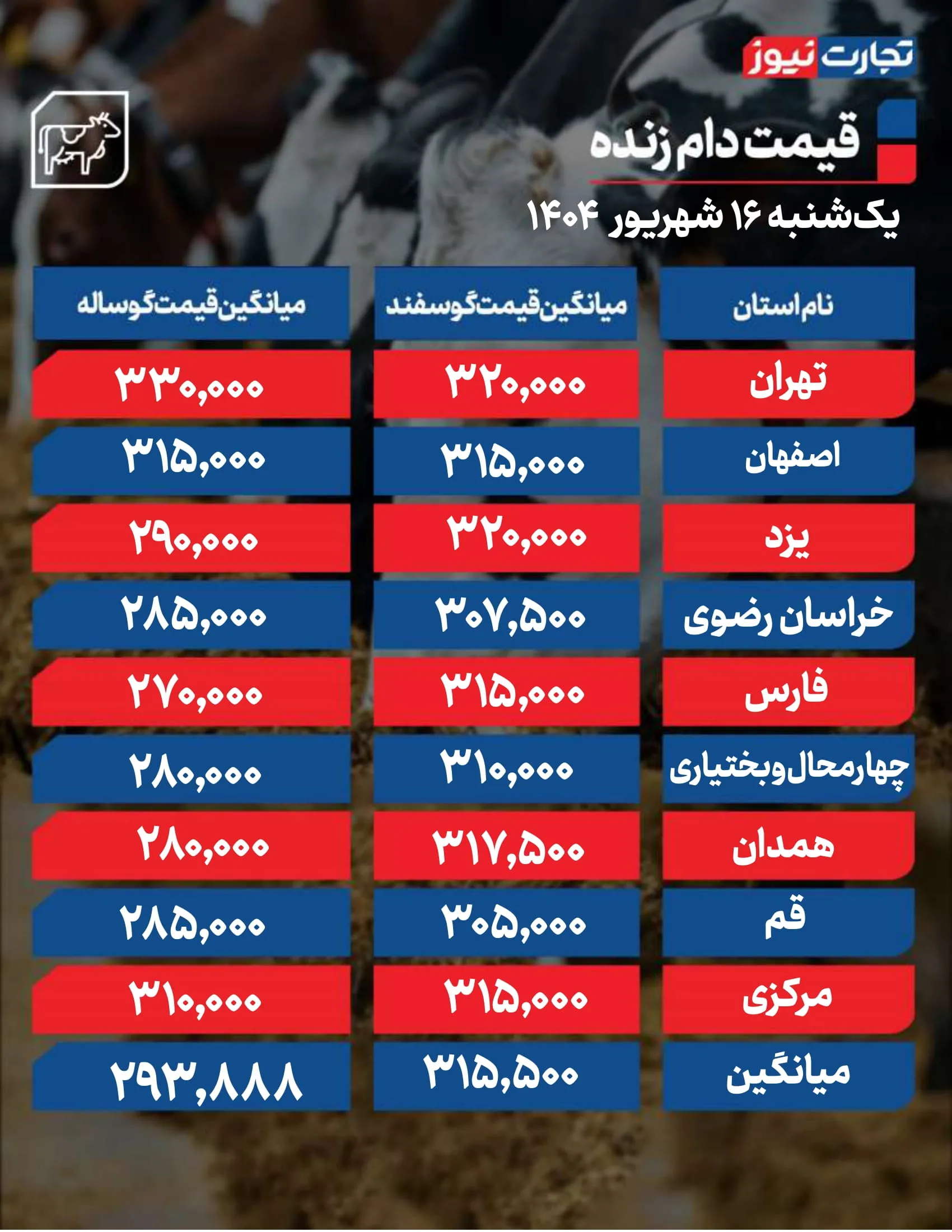 قیمت دام زنده امروز ۱۶ شهریور 1404 + جدول