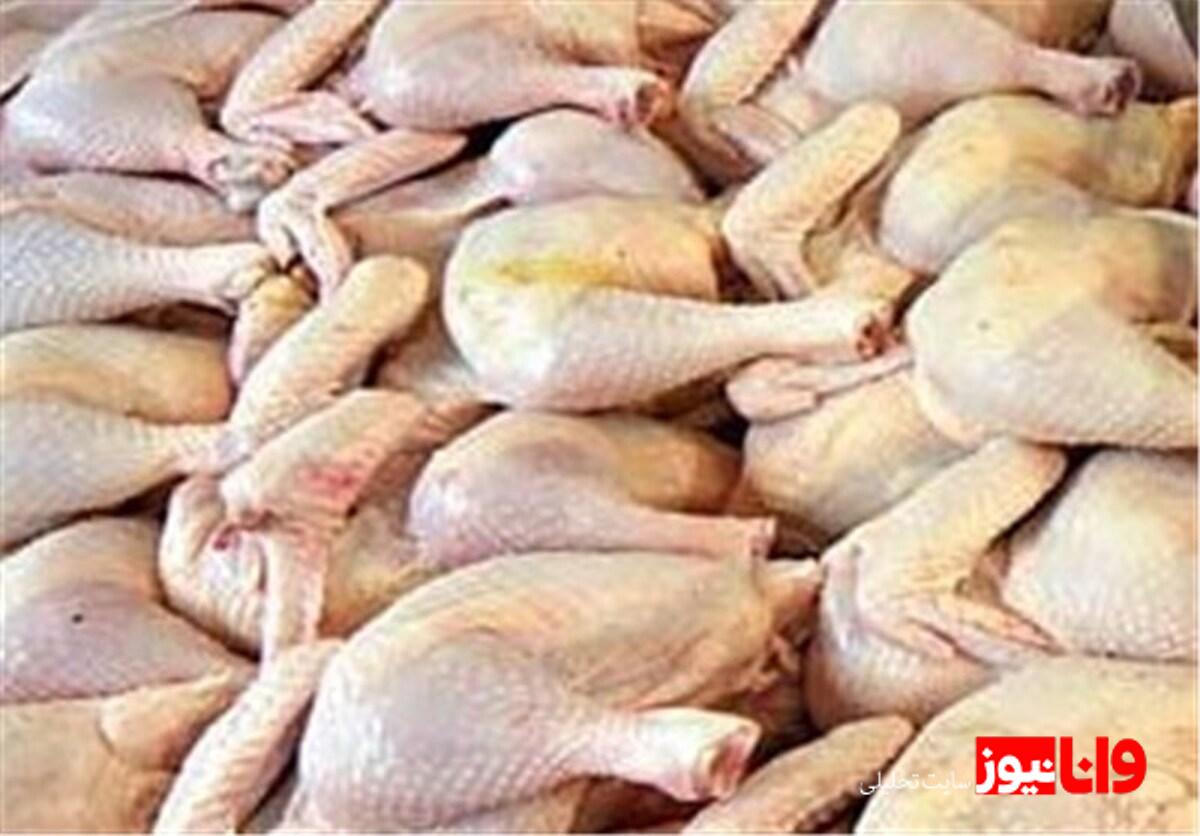 قیمت روز انواع گوشت مرغ تازه، بستهبندی و قطعهبندی در بازار ایران