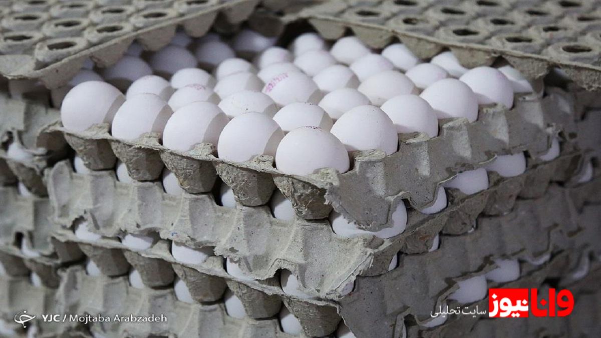 تحلیل قیمت کنونی تخممرغ: آیا ۶۸ هزار تومان منطقی است؟