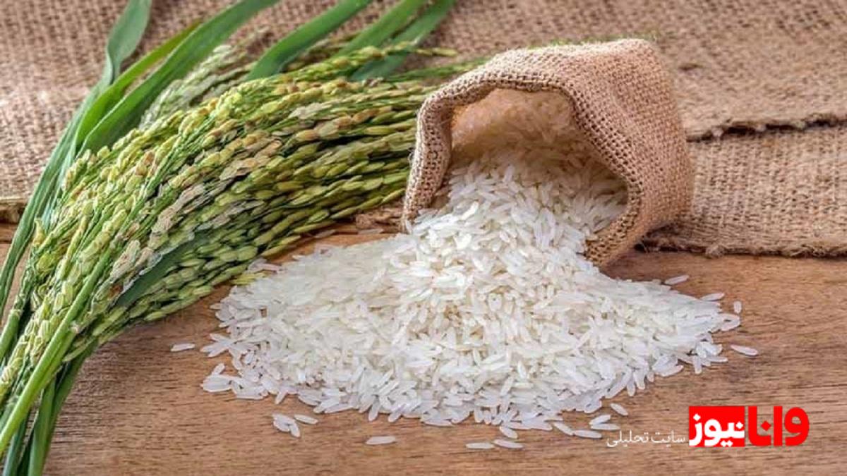 دور باطل دلالی: چگونه کشاورزان در بحران قیمت برنج گرفتار میشوند؟