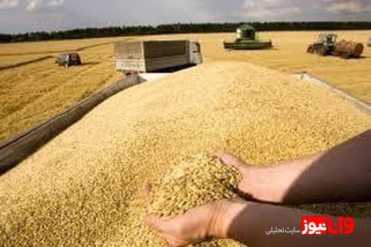 بنیاد ملی گندمکاران: امید به توافق در چالشهای قیمتگذاری محصولات زراعی