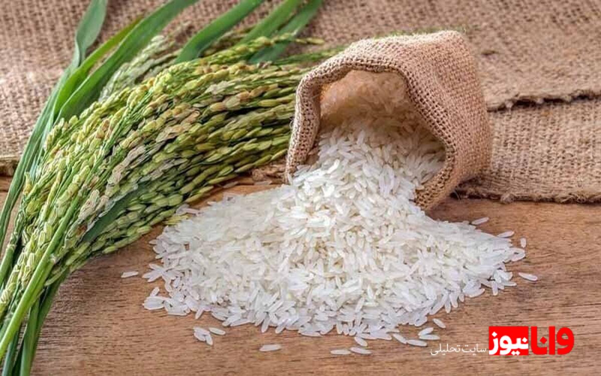 بررسی وضعیت بازار برنج: کمبود عرضه و افزایش قیمت