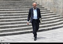 پیشنهادات وزیر کار برای تثبیت قیمت کالاها و چالش‌های آن