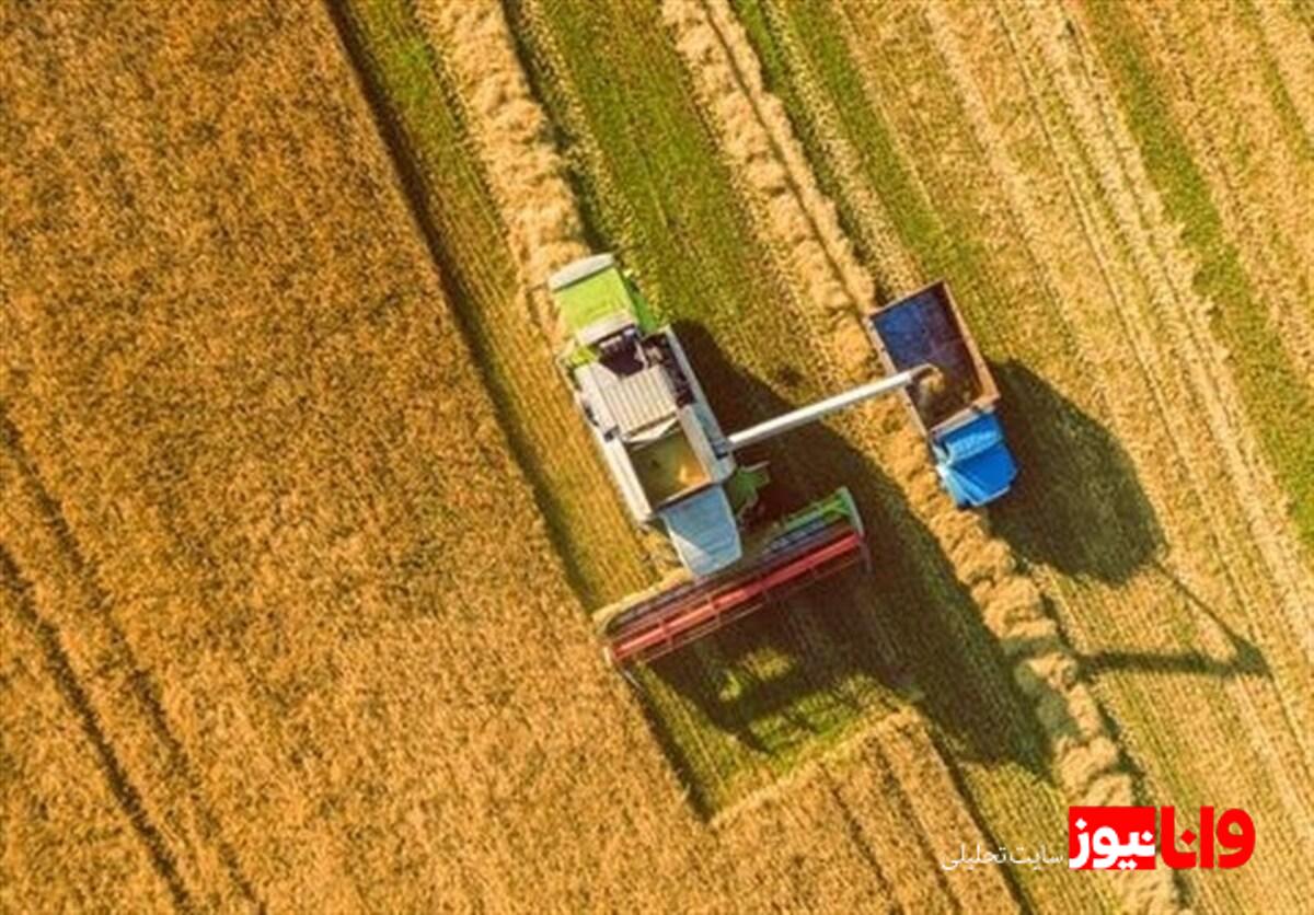 یک پنجم حق بیمه سهم گندمکاران واریز شد