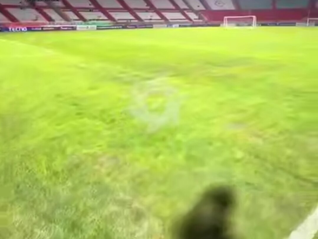 چمن تازه ورزشگاه یادگار امام زرد شد+عکس