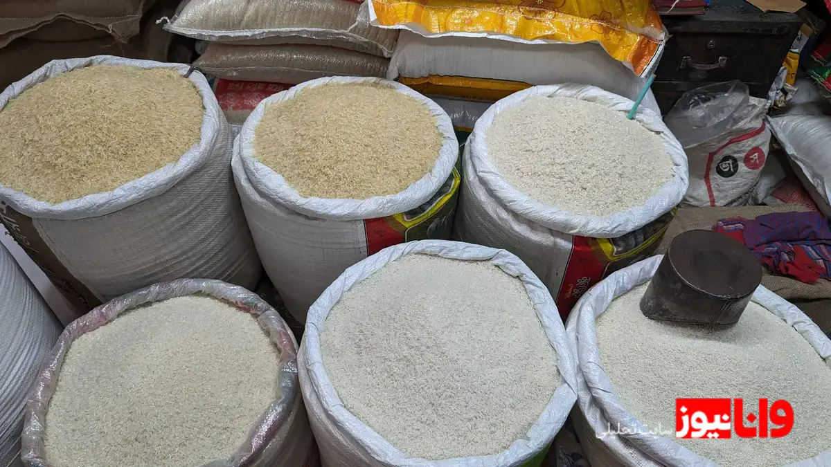 مقایسه قیمت برنج‌های مختلف در بازار عمده آبان ۱۴۰۴+ جدول