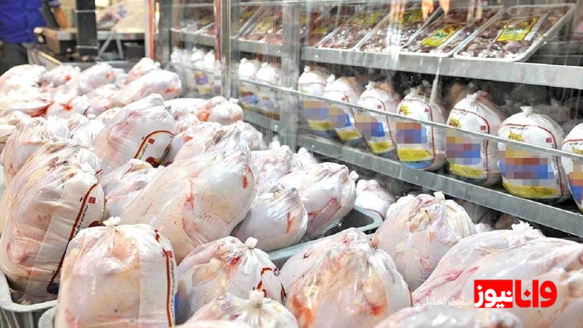 توزیع مرغ منجمد در تهران: نیازها و راهکارهای پشتیبانی دام
