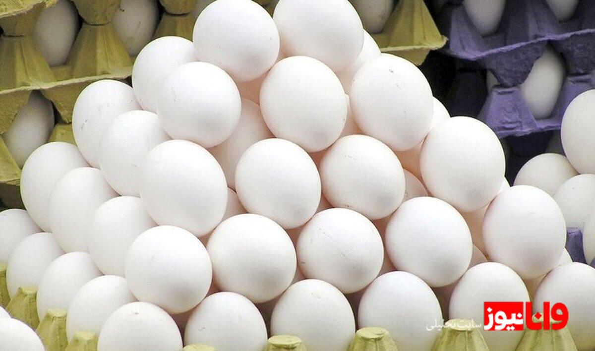 بحران جدید بازار مرغ در ایران: ناکارآمدی نهاده‌ها و انحصار نژاد