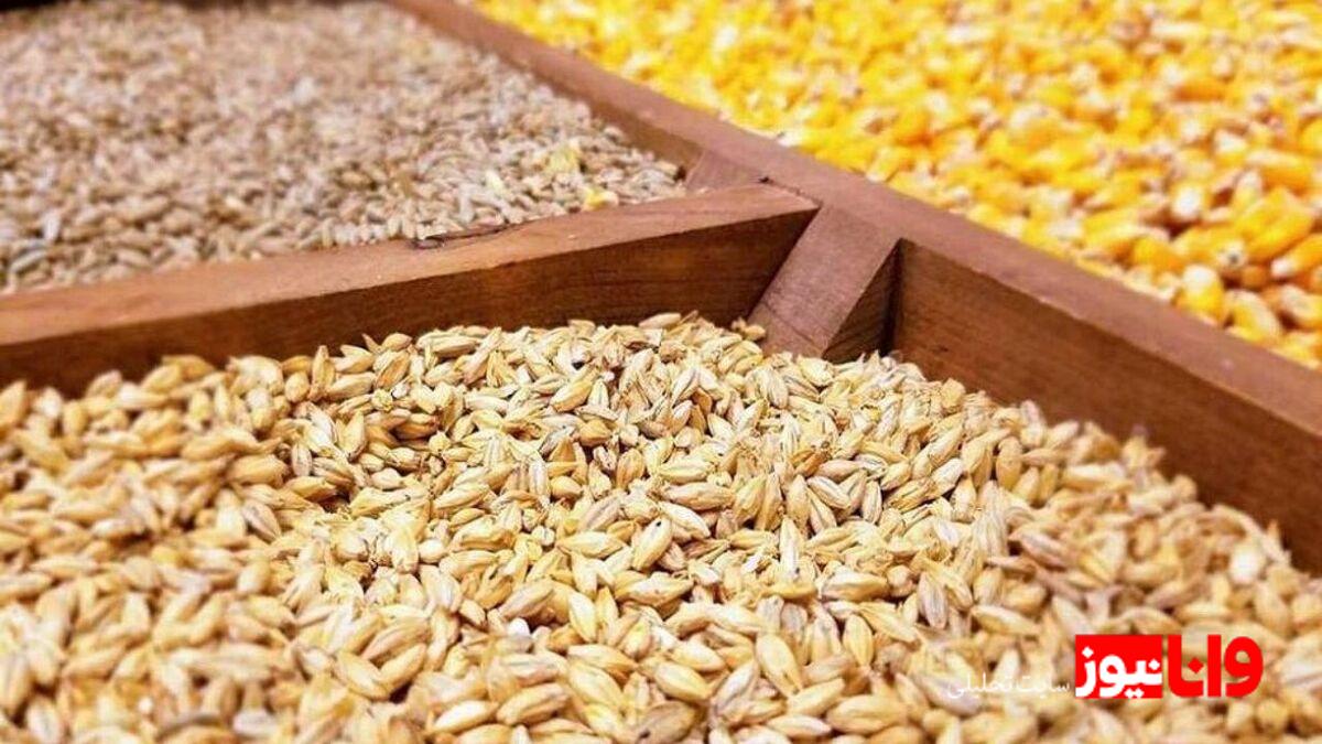 افزایش قیمت گوشت و لبنیات؛ دلایل و راهکارها