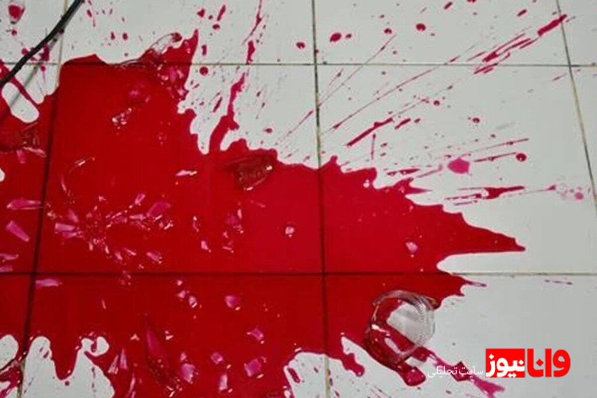 جزئیات پرونده قتل برادرزن در جنوب تهران: از اعترافات متهم تا درخواست قصاص