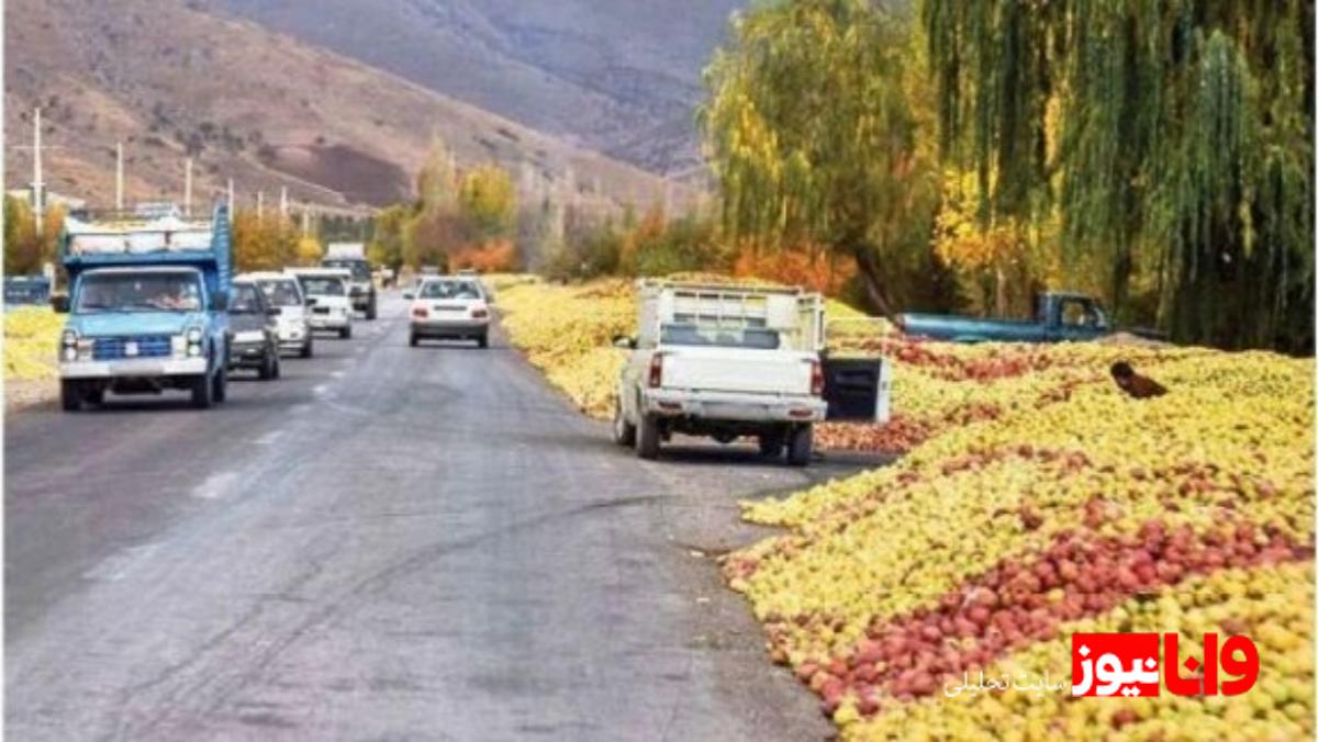 تحلیل قیمت سیب پادرختی و تأثیر آن بر کشاورزان