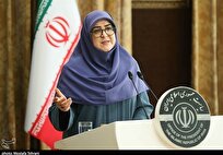 سخنگوی دولت: اقدامات جدی برای مهار گران‌فروشی در حال انجام است