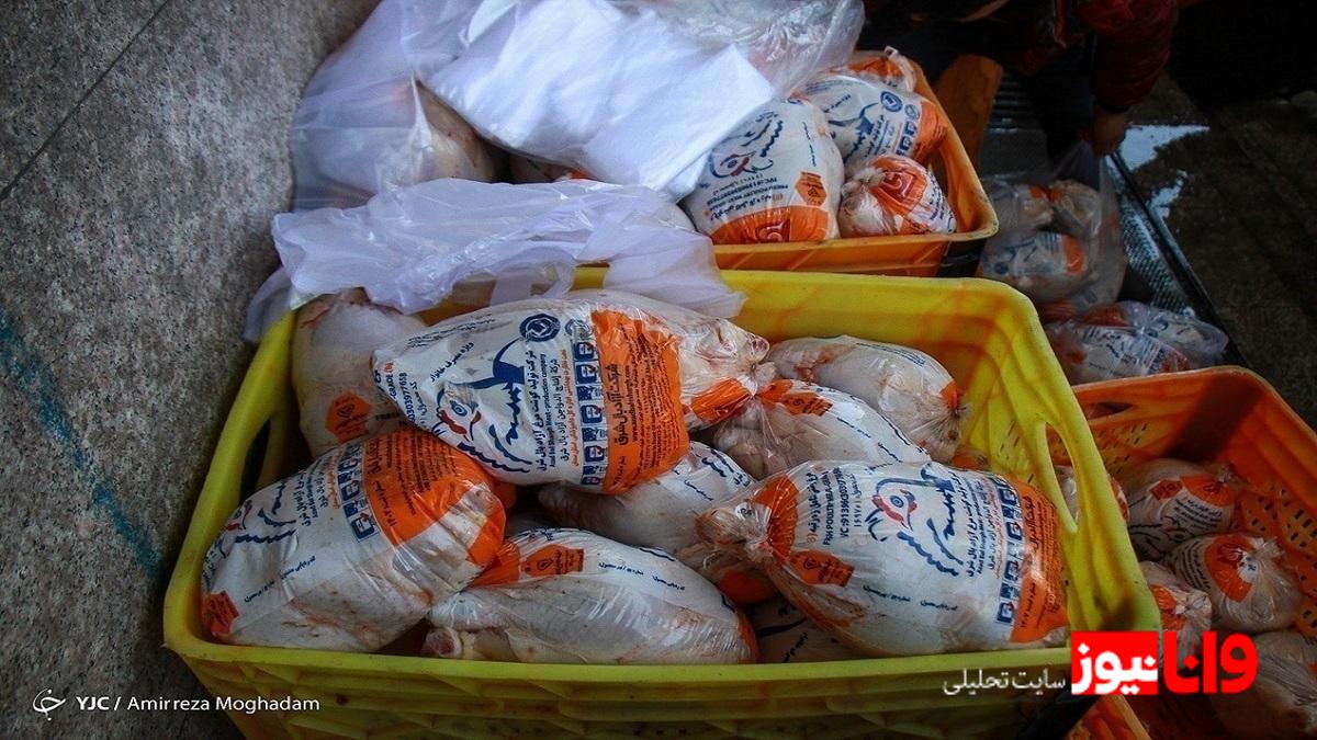 قیمت مرغ زنده در واحدهای مرغداری: واقعیت‌ها و چالش‌ها