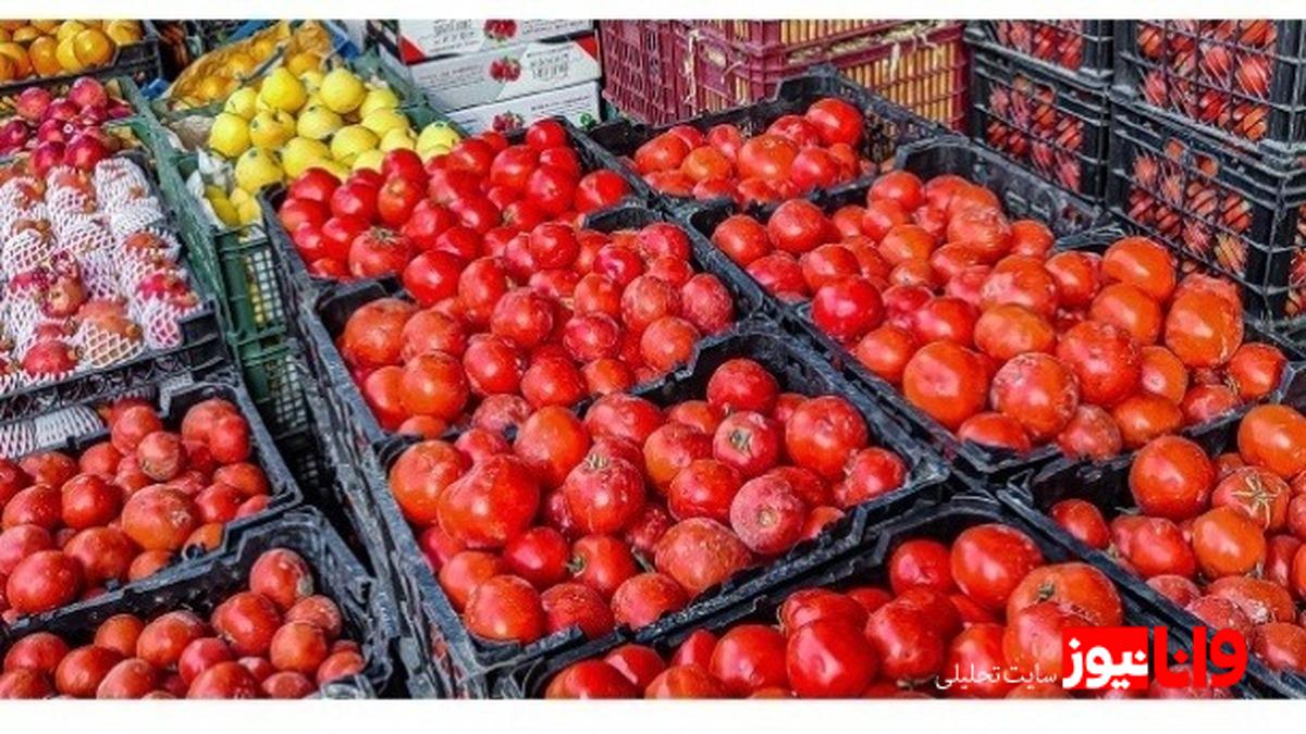 بررسی تاثیرات افزایش قیمت گوجه‌فرنگی بر معیشت خانواده‌ها