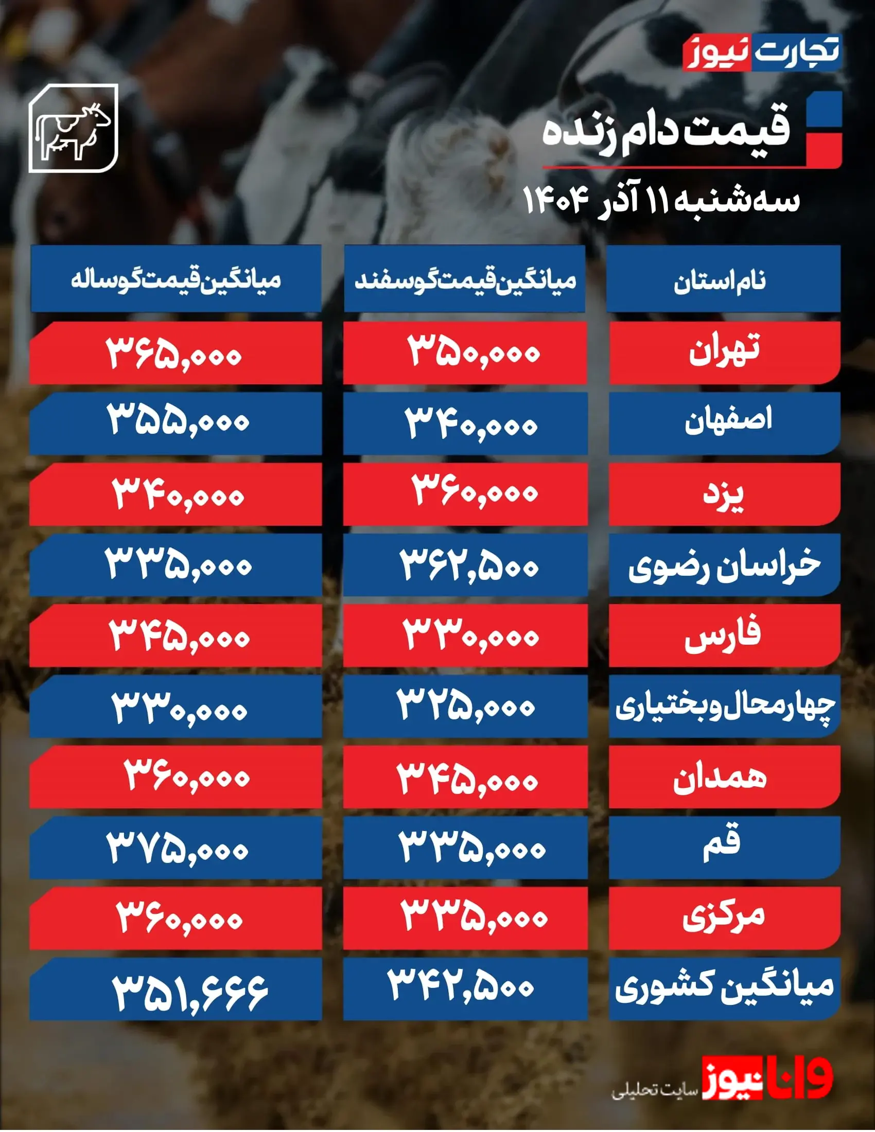 قیمت دام زنده امروز ۱۱ آذر 1404 + جدول