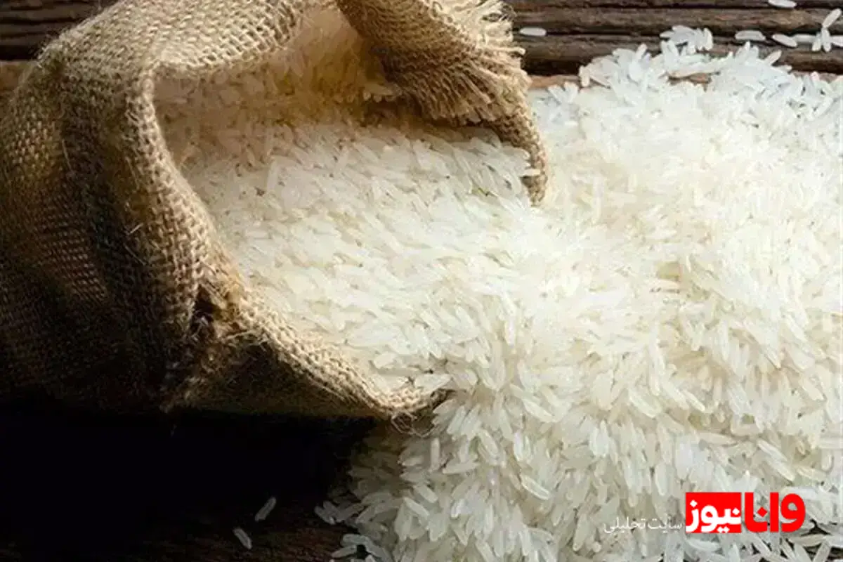 نظرات کنگری درباره حذف ارز ترجیحی و آینده قیمت برنج