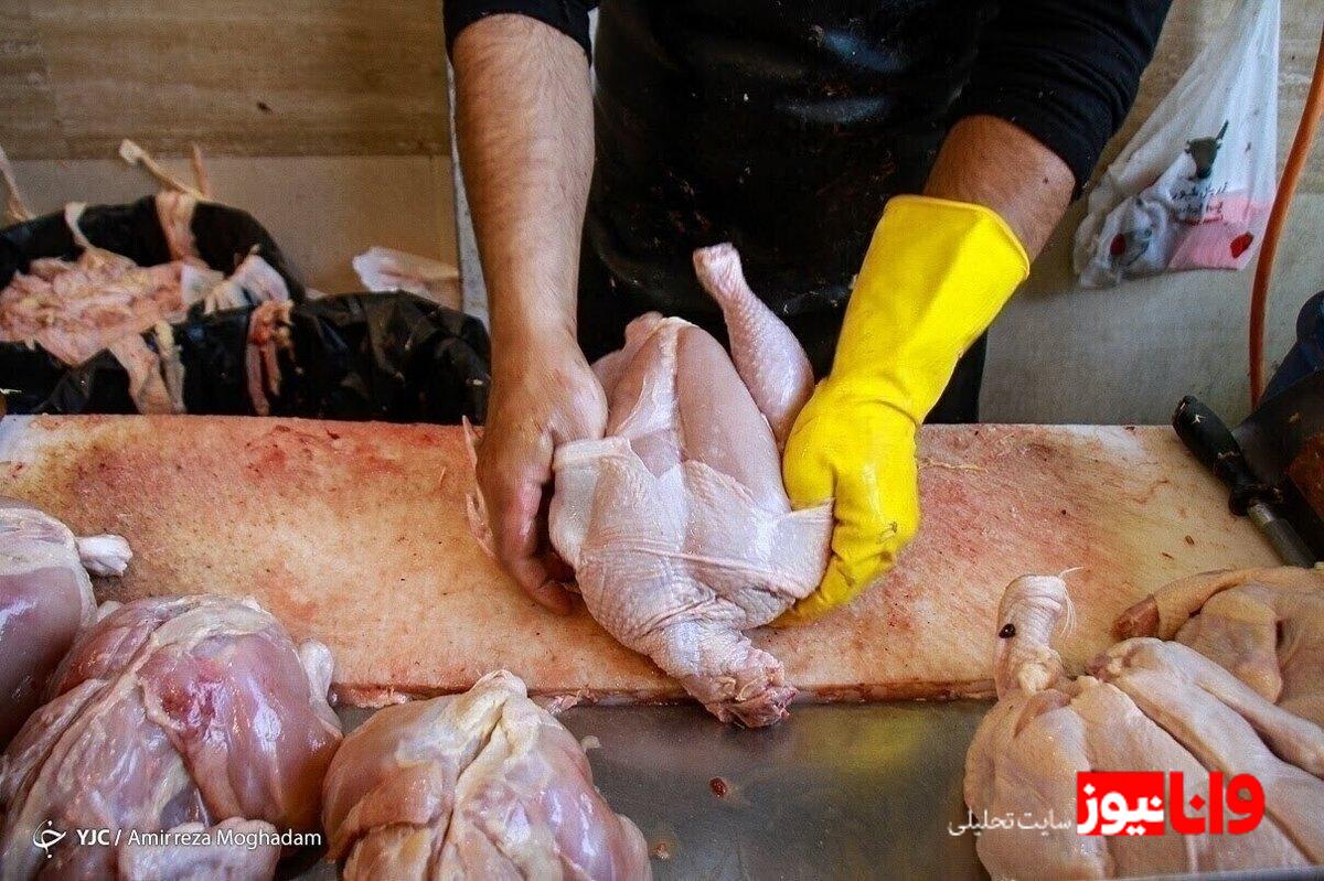 کمبود نهاده دامی و تأثیر آن بر افزایش قیمت مرغ در ایران