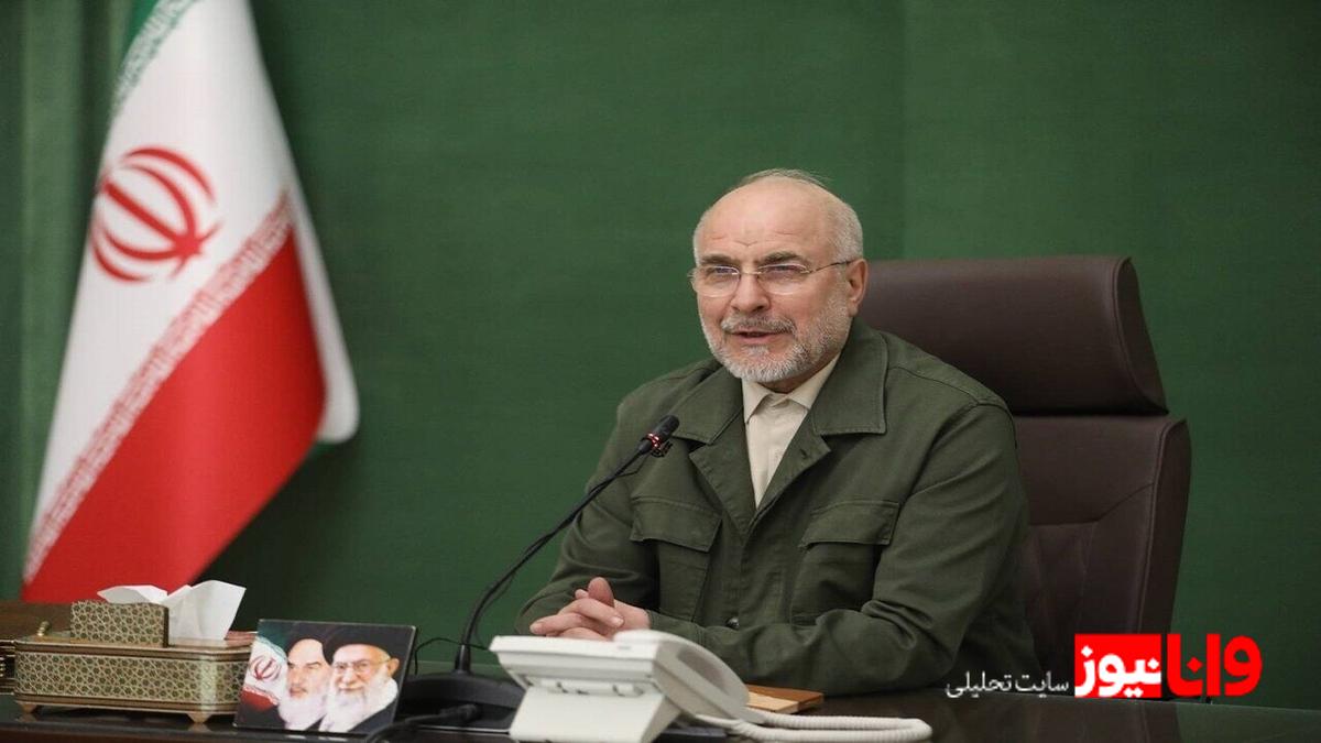 انتقاد رئیس مجلس شورای اسلامی از روند کند بررسی لایحه حمایت از زنان