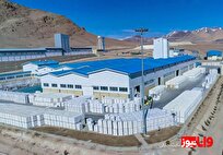 بهترین کارخانه‌های هبلکس | معرفی بهترین شرکت‌های هبلکس