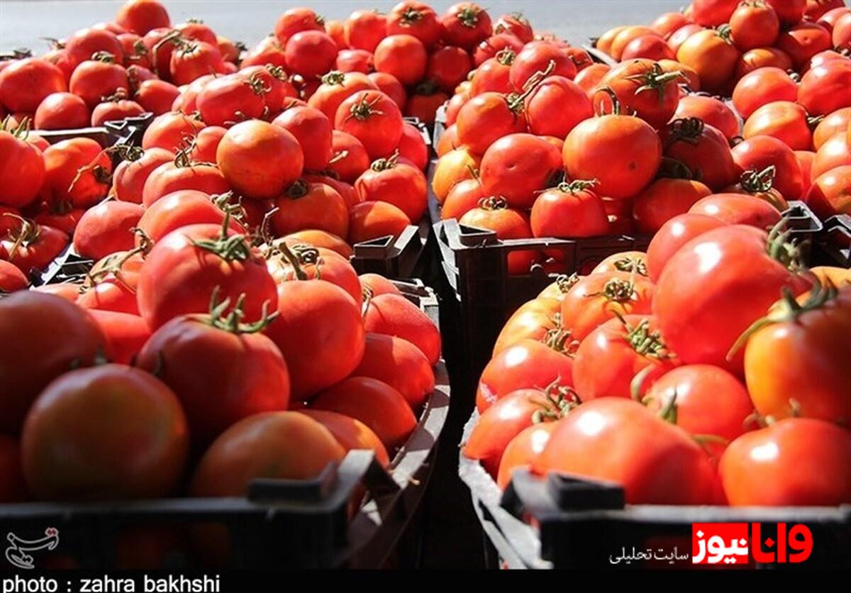 تحلیل عوامل مؤثر بر قیمت گوجه فرنگی در بازار داخلی ایران