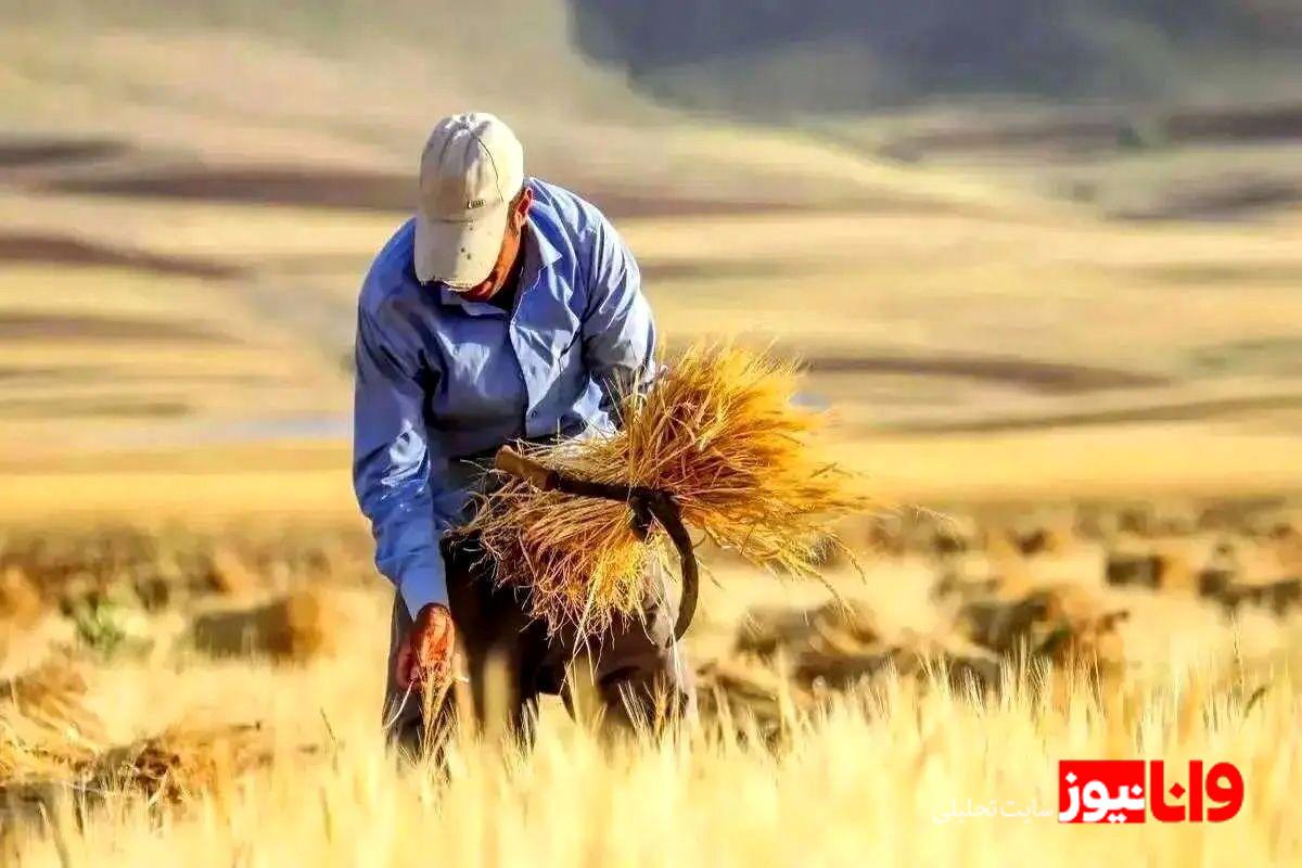 نرخ نهایی خرید تضمینی گندم اعلام شد