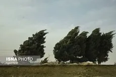 وزش باد شدید در ۱۵ استان طی ۲۴ ساعت آتی